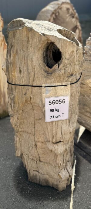 Grabstein versteinertes Holz 56056