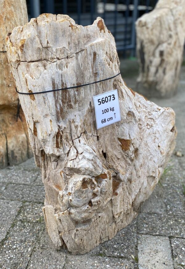 Grabstein versteinertes Holz 56073