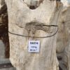 Grabstein versteinertes Holz 56074