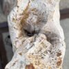 Grabstein versteinertes Holz 56074