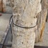 Grabstein versteinertes Holz 56074