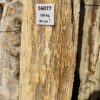Grabstein versteinertes Holz 56077