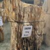 Grabstein versteinertes Holz 56098