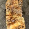 Grabstein versteinertes Holz 56098