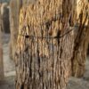 Grabstein versteinertes Holz 56098