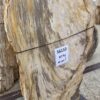 Grabstein versteinertes Holz 56110