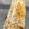 Grabstein versteinertes Holz 56110