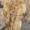 Grabstein versteinertes Holz 56110
