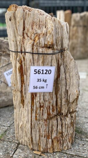 Grabstein versteinertes Holz 56120