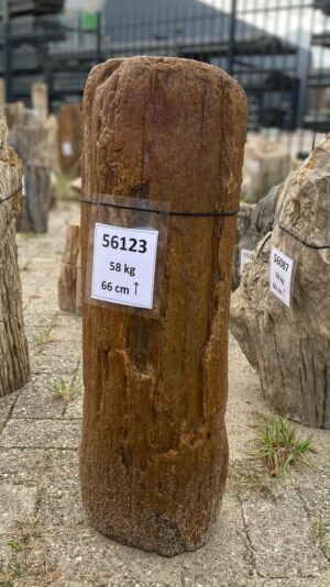 Grabstein versteinertes Holz 56123