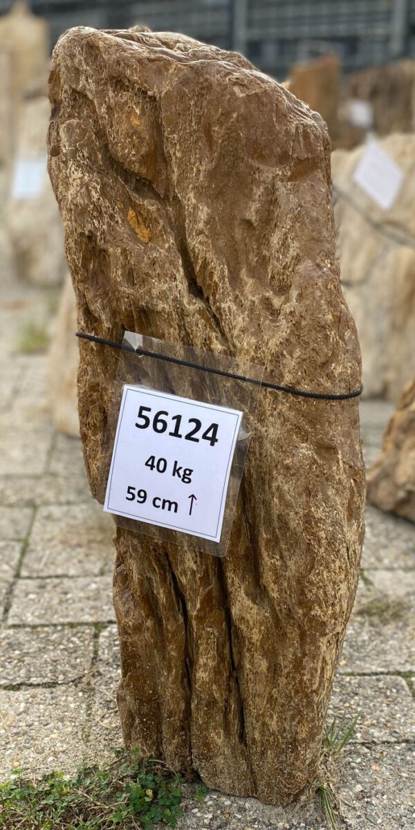 Grabstein versteinertes Holz 56124