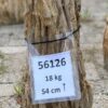 Grabstein versteinertes Holz 56126