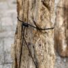 Grabstein versteinertes Holz 56126