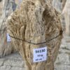 Grabstein versteinertes Holz 56130