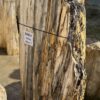 Grabstein versteinertes Holz 56132