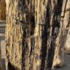 Grabstein versteinertes Holz 56132