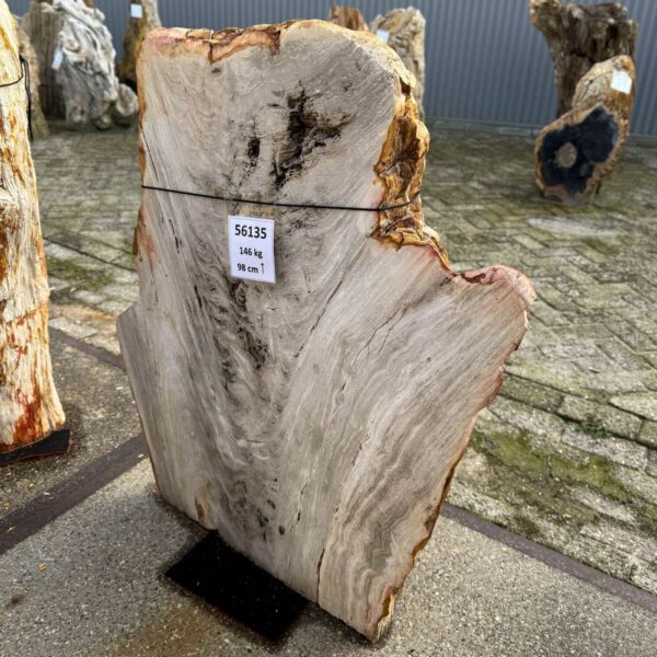 Grabstein versteinertes Holz 56135