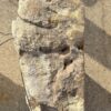 Grabstein versteinertes Holz 56136
