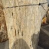 Grabstein versteinertes Holz 56136