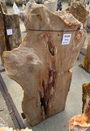 Grabstein versteinertes Holz 56140