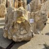 Grabstein versteinertes Holz 56265