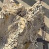 Grabstein versteinertes Holz 56265