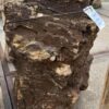 Grabstein versteinertes Holz 56267