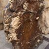 Grabstein versteinertes Holz 56267