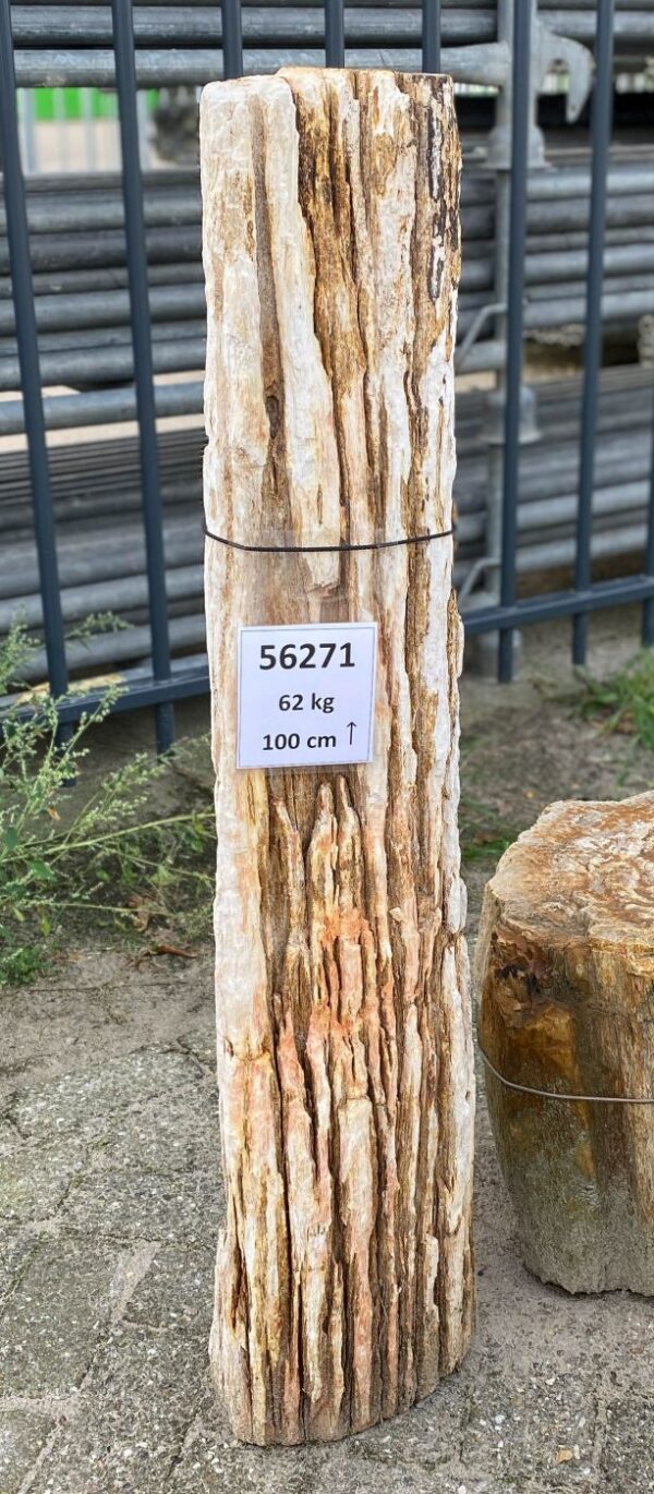 Grabstein versteinertes Holz 56271