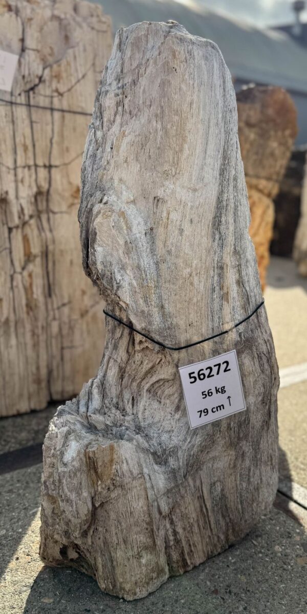 Grabstein versteinertes Holz 56272