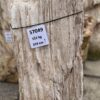 Grabstein versteinertes Holz 57049