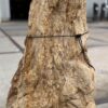 Grabstein versteinertes Holz 57050