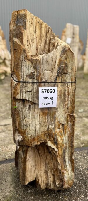 Grabstein versteinertes Holz 57060