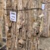 Grabstein versteinertes Holz 57061