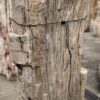 Grabstein versteinertes Holz 57061