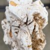 Grabstein versteinertes Holz 57065