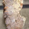 Grabstein versteinertes Holz 57066