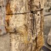 Grabstein versteinertes Holz 57066