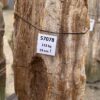 Grabstein versteinertes Holz 57078