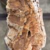 Grabstein versteinertes Holz 57078