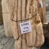 Grabstein versteinertes Holz 57081
