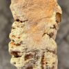 Grabstein versteinertes Holz 57081