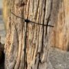 Grabstein versteinertes Holz 57081