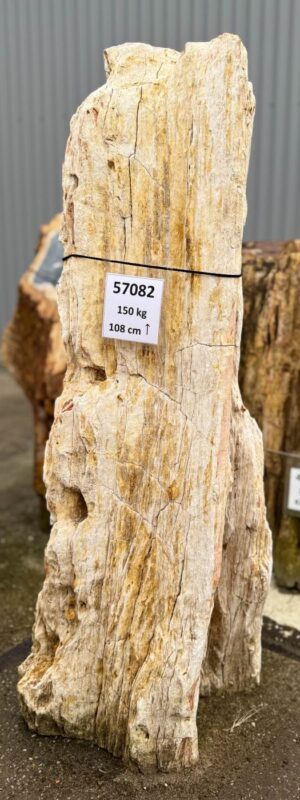 Grabstein versteinertes Holz 57082