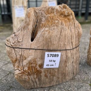 Grabstein versteinertes Holz 57089