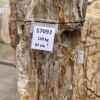 Grabstein versteinertes Holz 57092