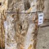 Grabstein versteinertes Holz 57092