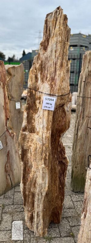 Grabstein versteinertes Holz 57094