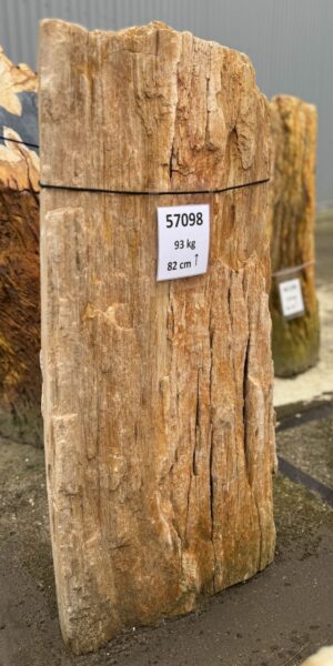 Grabstein versteinertes Holz 57098