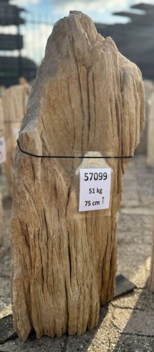 Grabstein versteinertes Holz 57099